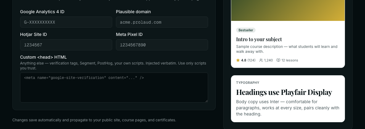 The Analytics and tags fields: Google Analytics 4 ID, Plausible domain, Hotjar Site ID, Meta Pixel ID and Custom head HTML.