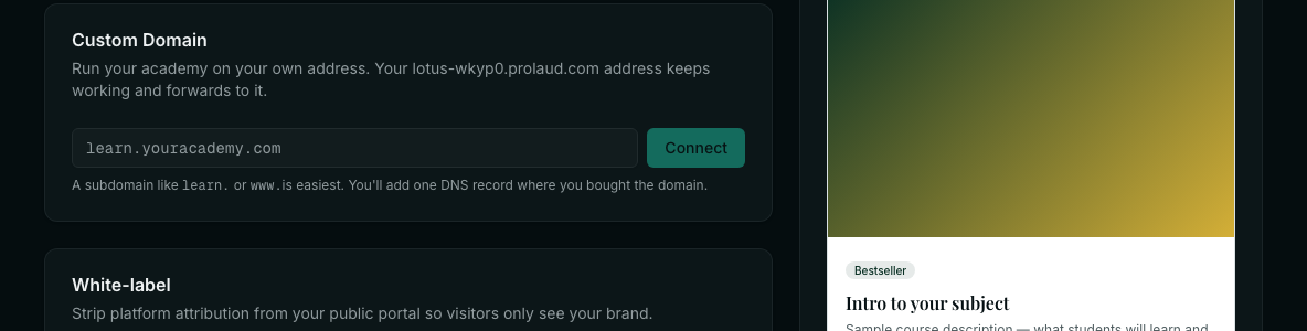 The Custom Domain box with a Connect button and the White-label section below it.