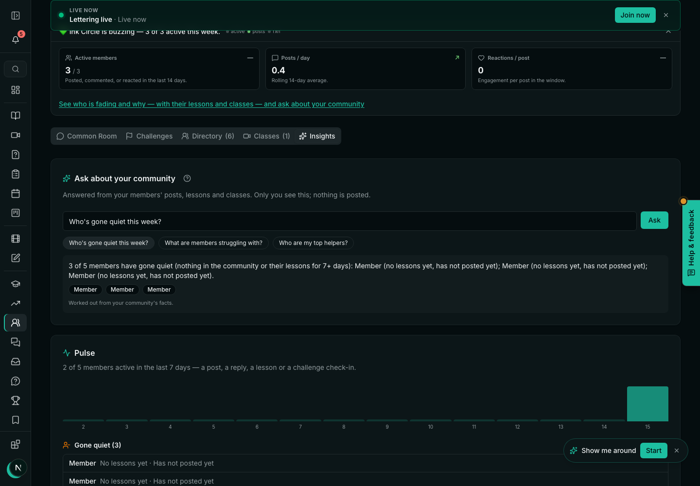 Insights: Ask about your community, and the pulse with active members per day and who has gone quiet
