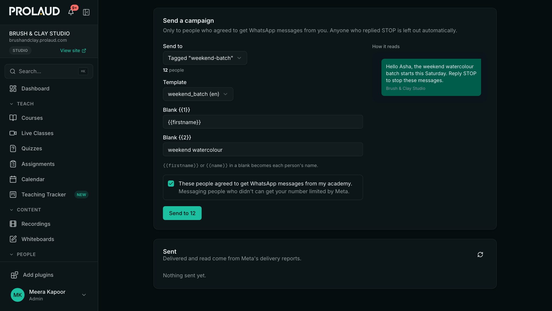 Send a campaign: who to send to, the template, its blanks, the consent box, and a preview of how the message reads
